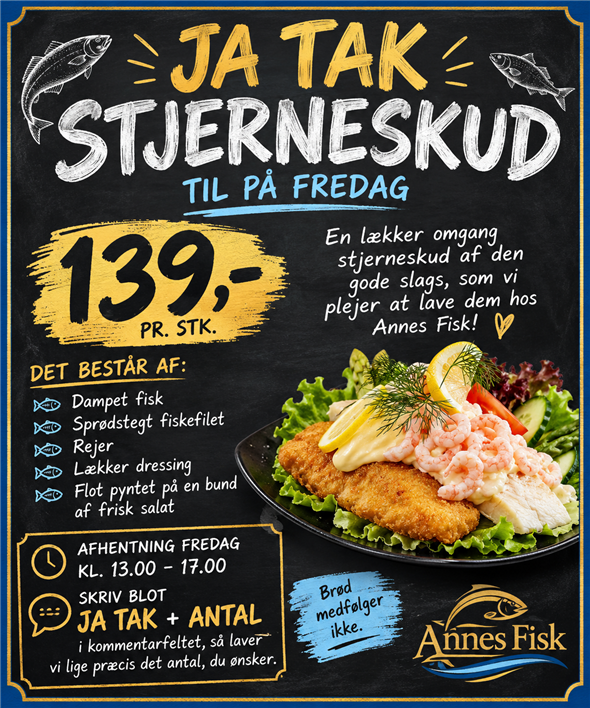 Stjerneskud